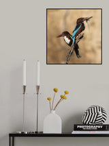 couple Poster och Canvastavla
