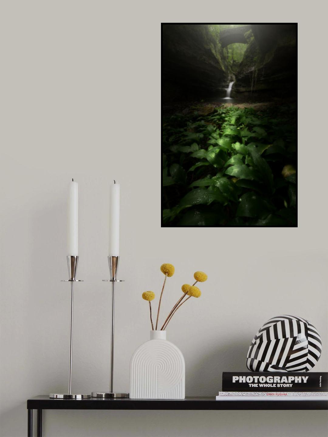 "ad fontem" Poster och Canvastavla