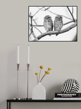 A tale of two owlets Poster och Canvastavla