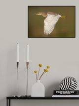 Poster och Canvastavla