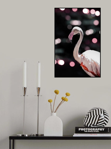 Disco Flamingo Poster och Canvastavla