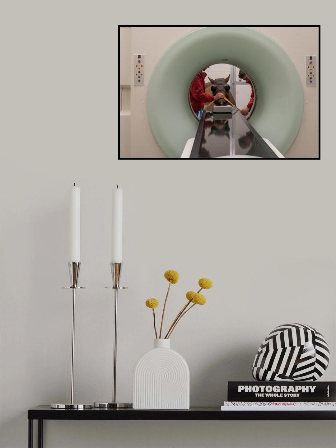 CT scan horse 2 Poster och Canvastavla