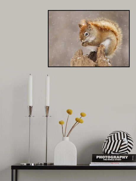 Snow Storm Poster och Canvastavla