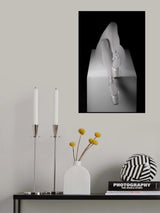 Pointe shoes Poster och Canvastavla
