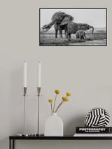 The family of elephants Poster och Canvastavla