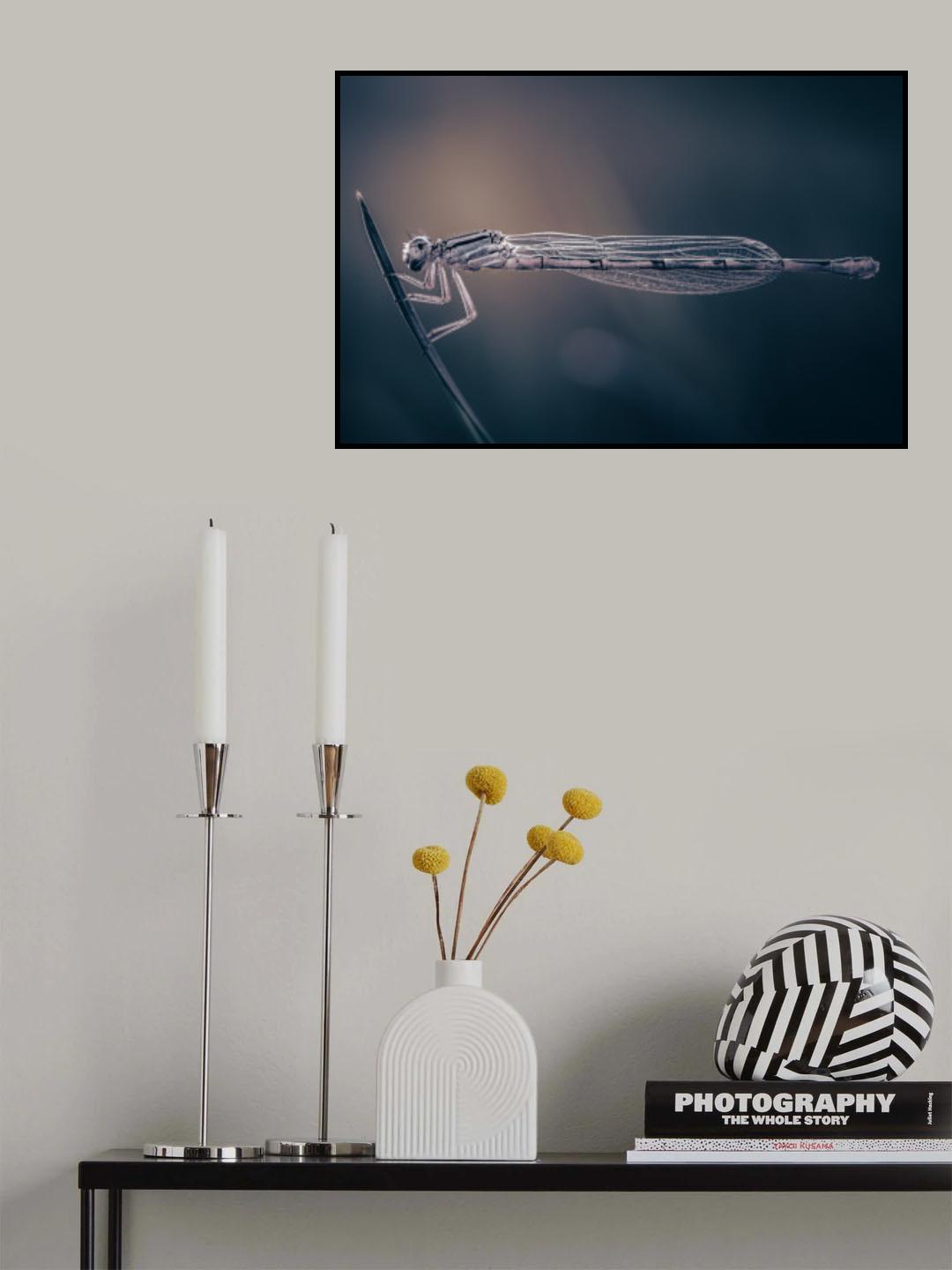 Holding on Poster och Canvastavla