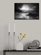 Rushes in the sea Poster och Canvastavla