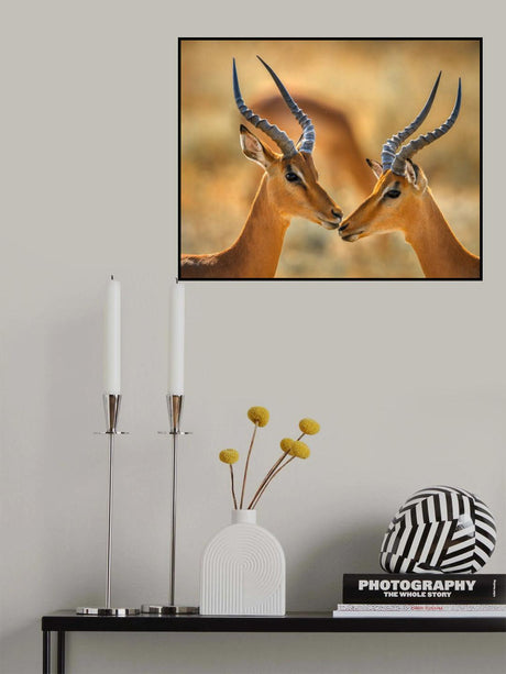 Brothers Poster och Canvastavla