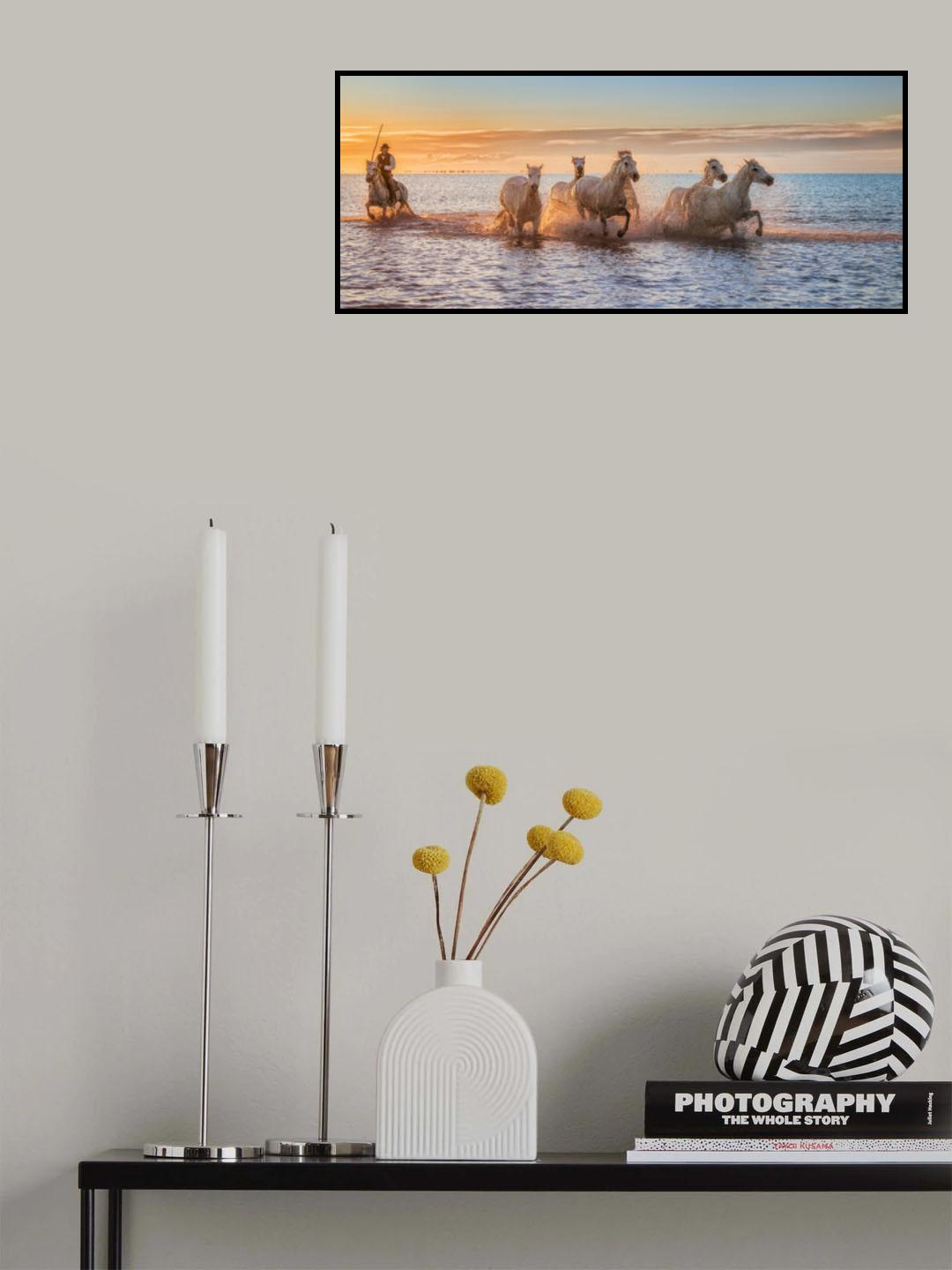Camargue Horses II Poster och Canvastavla