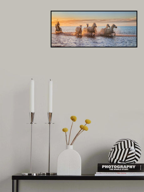 Camargue Horses II Poster och Canvastavla