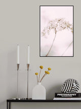 Soft dried flower_pink Poster och Canvastavla