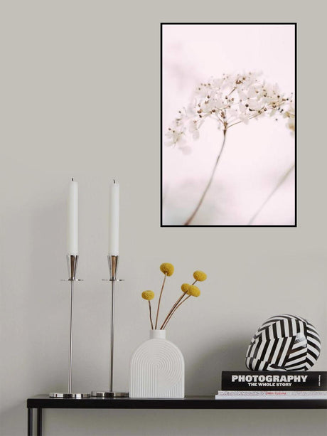 Soft dried flower_pink Poster och Canvastavla