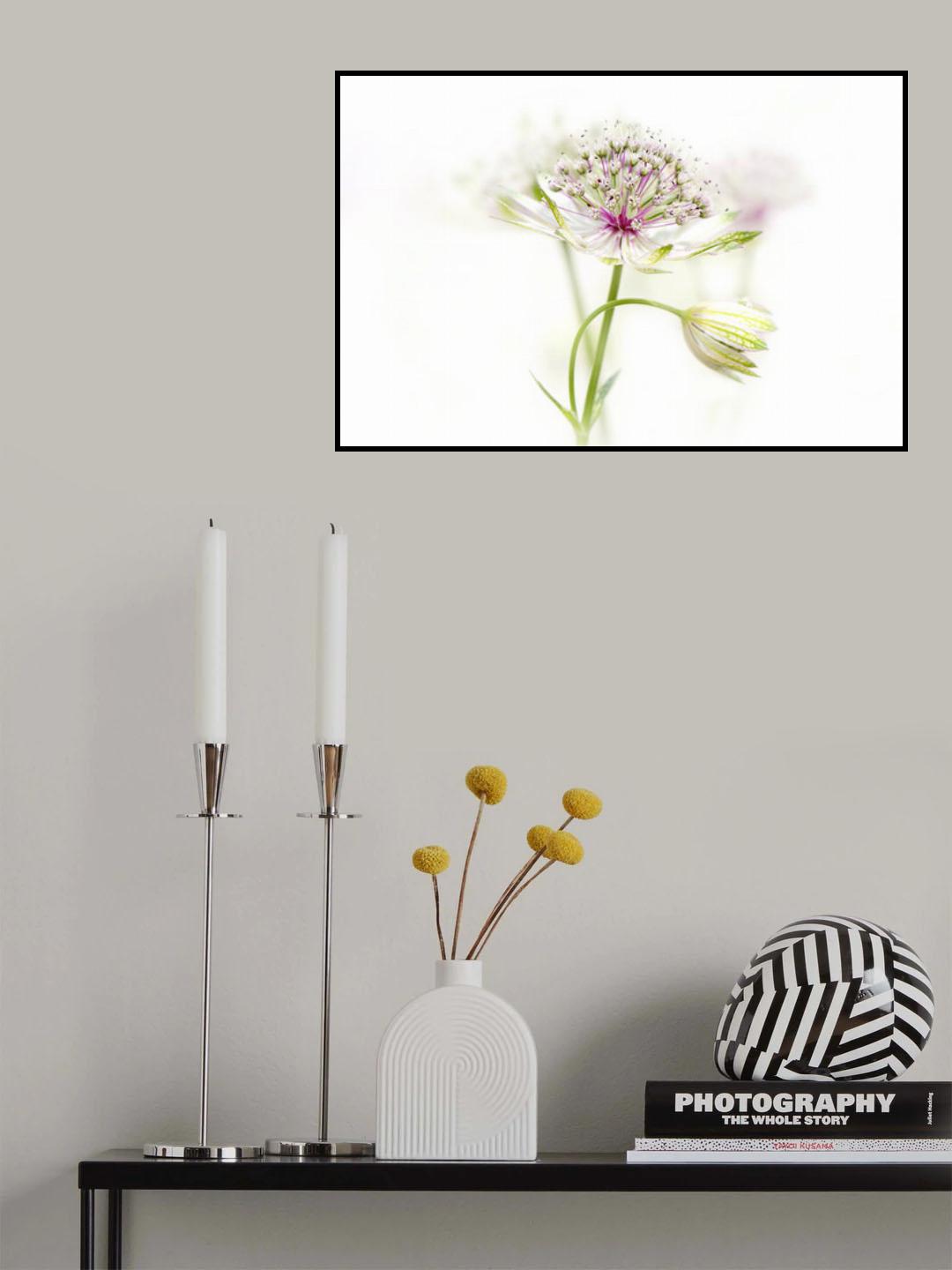 Summer Bud Poster och Canvastavla