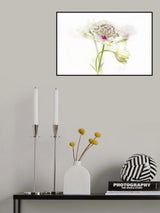 Summer Bud Poster och Canvastavla