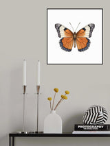 Butterfly 42 Poster och Canvastavla