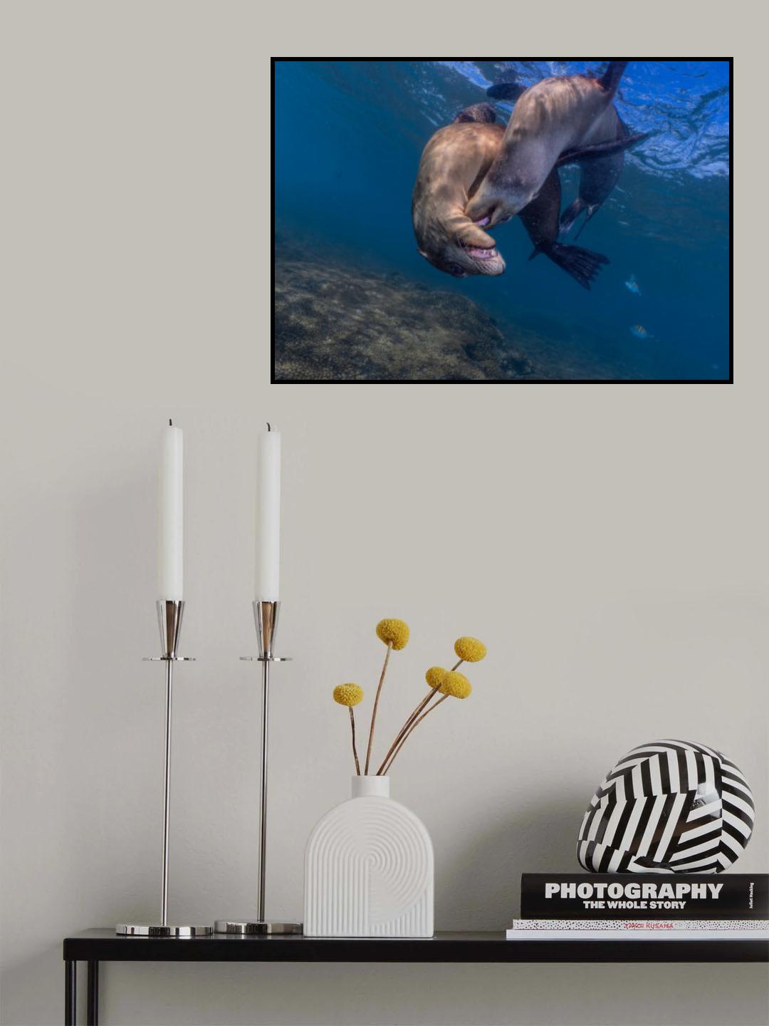 Play Time Poster och Canvastavla
