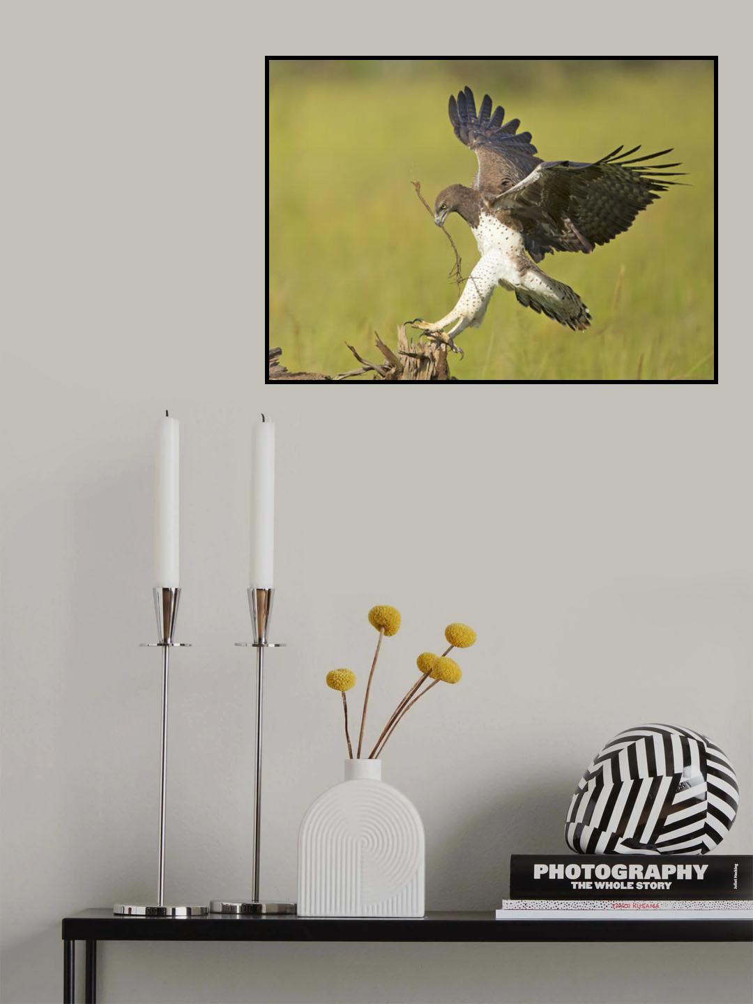 Landing Poster och Canvastavla