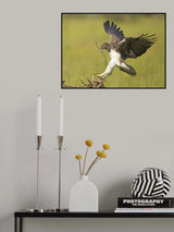 Landing Poster och Canvastavla