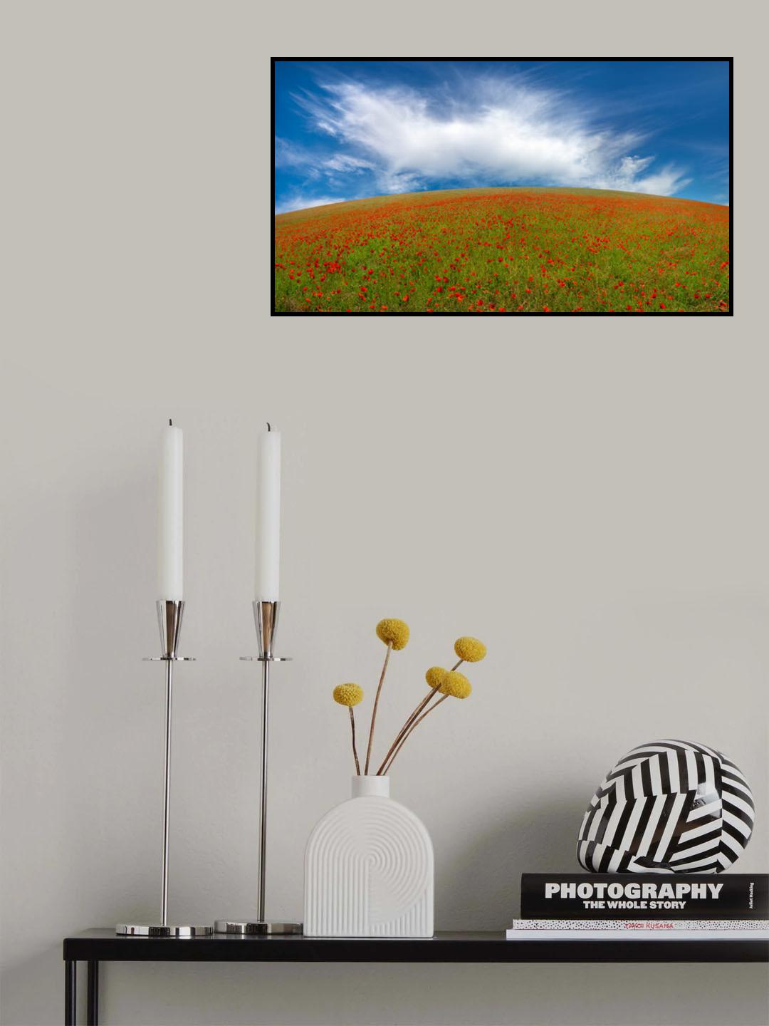 Red Poppies Poster och Canvastavla