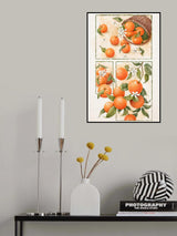 Orange Blossom Home Poster och Canvastavla