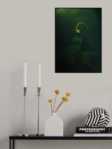 Bean Poster och Canvastavla