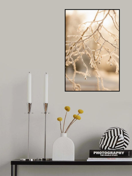 Frosty Morning 6 Poster och Canvastavla