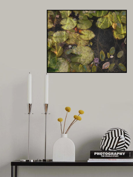 Pond plants Poster och Canvastavla