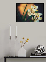 Orchids Poster och Canvastavla