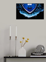 Starship Poster och Canvastavla