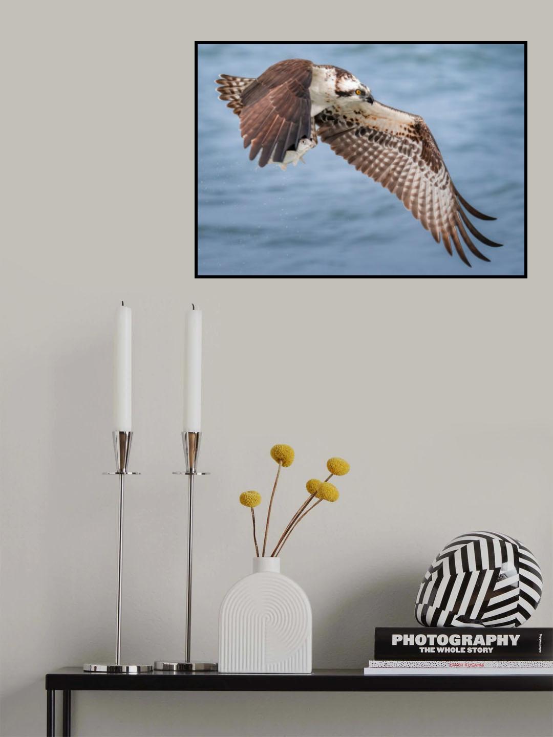 Tucked In Poster och Canvastavla