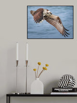 Tucked In Poster och Canvastavla