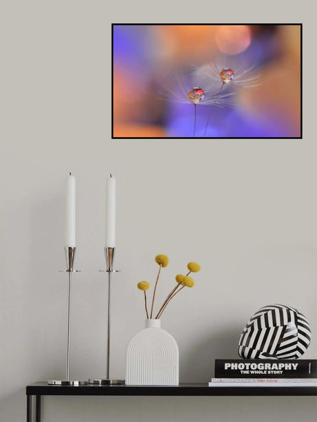 Born Anew .. Poster och Canvastavla