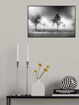Parking tree Poster och Canvastavla