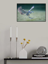 Touchdown Poster och Canvastavla