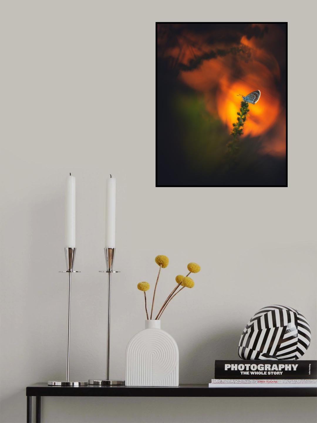 ... waking up ... Poster och Canvastavla