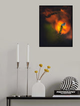 ... waking up ... Poster och Canvastavla