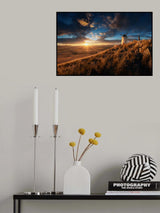 Blancos contra el sol. Poster och Canvastavla