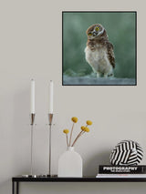 You have me at Hello Poster och Canvastavla