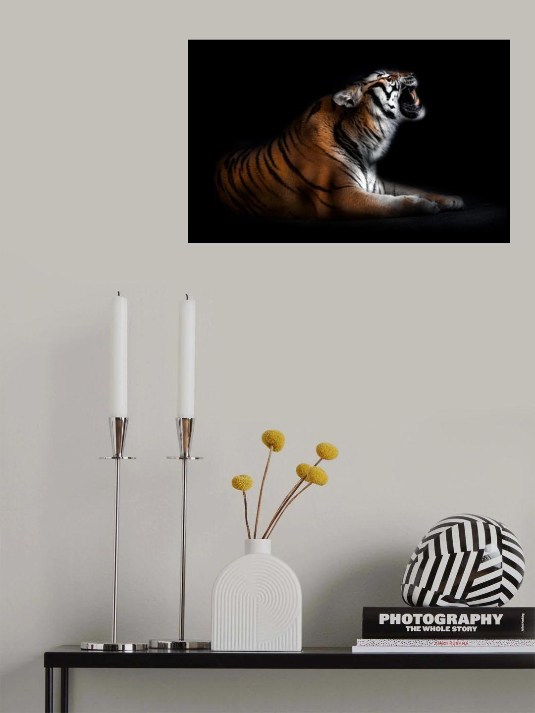 Tiger portrait Poster och Canvastavla