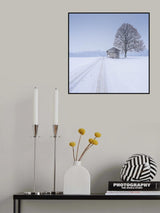 silence Poster och Canvastavla