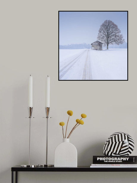 silence Poster och Canvastavla