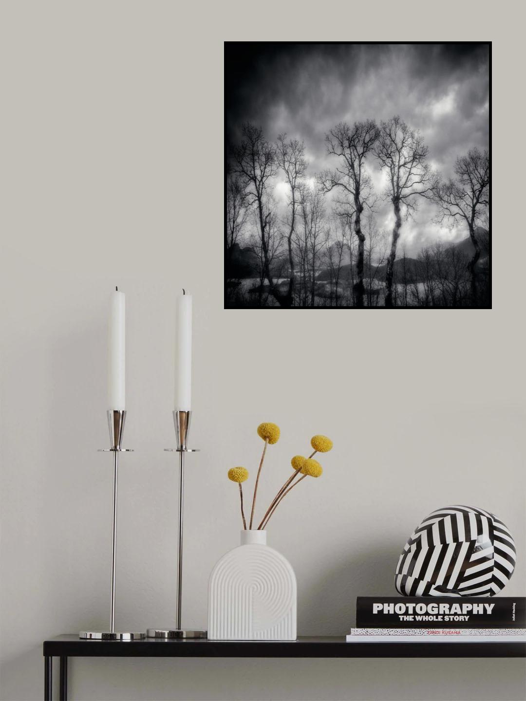 last days Poster och Canvastavla