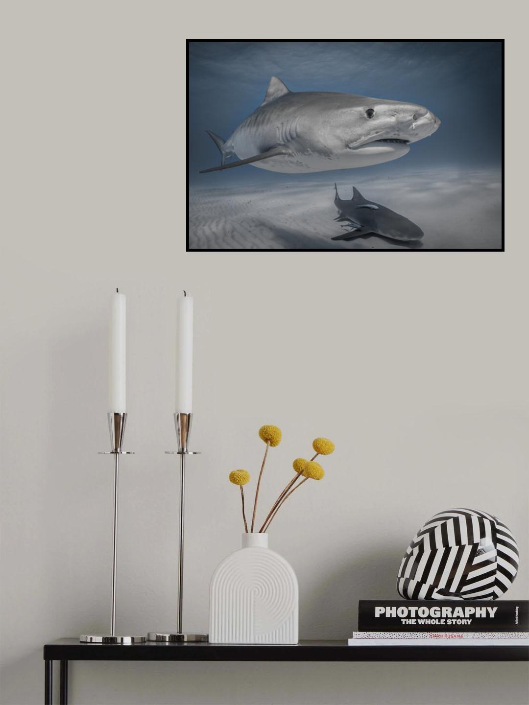 Hello there Poster och Canvastavla