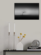 Steadiness Poster och Canvastavla
