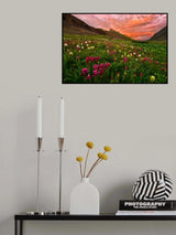 Carpet of Wildflowers Poster och Canvastavla