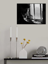 Rustic motives Poster och Canvastavla