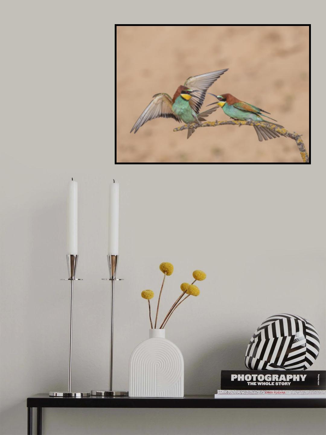 Bee-eater Poster och Canvastavla