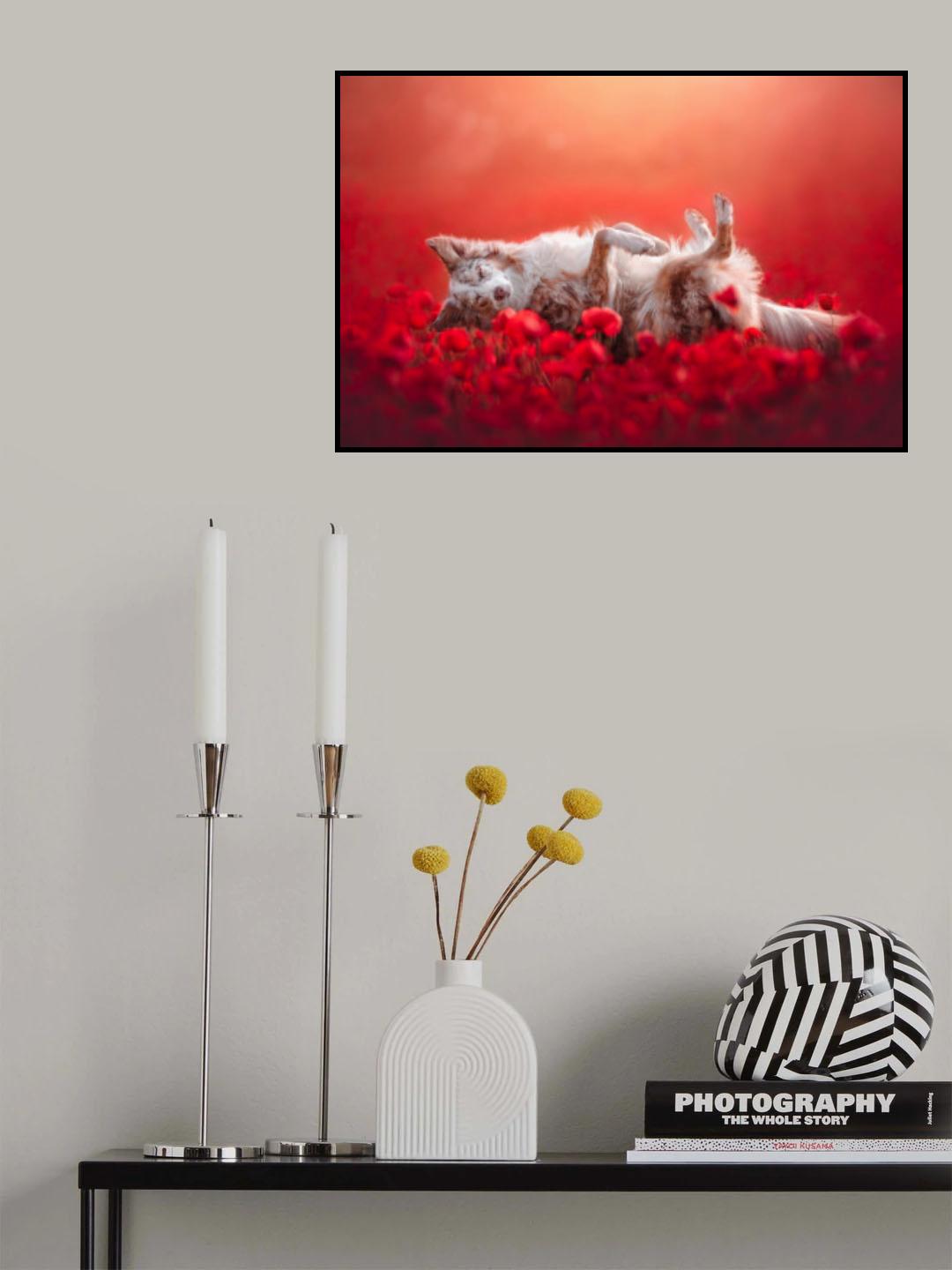 Floating Poster och Canvastavla
