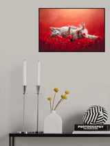 Floating Poster och Canvastavla