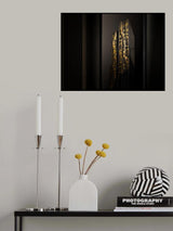 golden hour Poster och Canvastavla